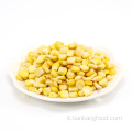 Fd Super Sweet Corn Kernel Frozen Essiccato